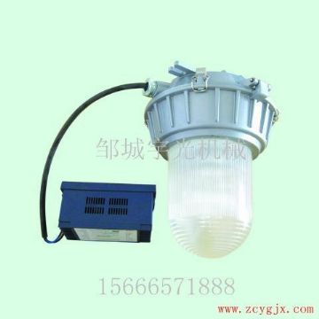 点击查看详细信息<br>标题：厂房应急照明灯DGS35/70-220 阅读次数：2434