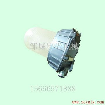点击查看详细信息<br>标题：矿用厂房照明灯DGS □□□/220 阅读次数：2473
