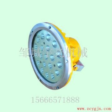 点击查看详细信息<br>标题：DGS60/127L矿用隔爆型LED投光灯 阅读次数：2475